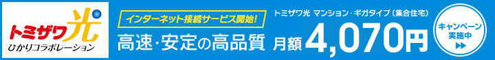 トミザワ光　ひかりコラボレーション　月額4070円