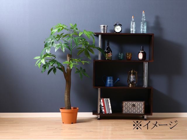 ItBXƋ  tFCNO[@pL@p̖؁iق̂j^Cv@52665 