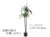 フェイクグリーン ドラセナ TMZGRN-15TMZ