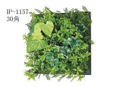  tFCNO[@30pǖʃpl@GS-Green@IP-1157