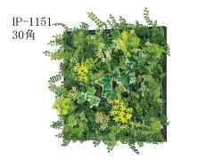  tFCNO[@30pǖʃpl@GS-Green@IP-1151