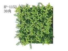  tFCNO[@30pǖʃpl@GS-Green@IP-1153