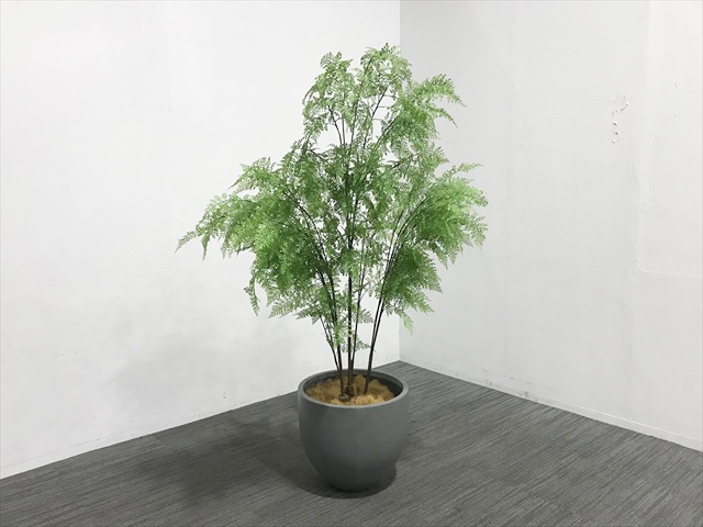 �I�t�B�X�Ƌ�  �t�F�C�N�O���[���@�A�W�A���^�� 