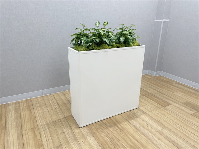 �t�����[�{�b�N�X