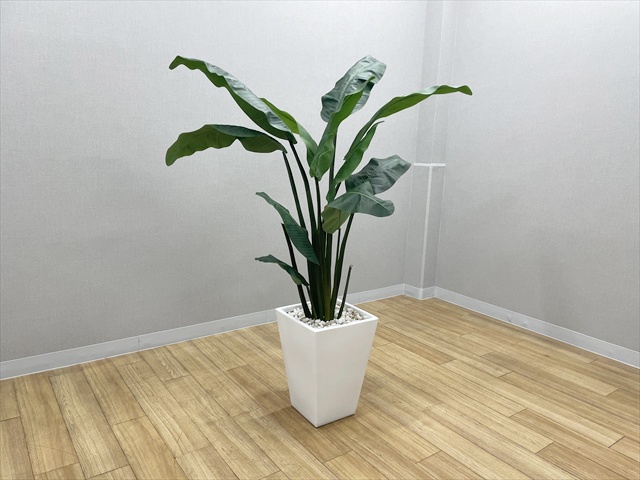 �t�����[�{�b�N�X�E�t�F�C�N�O���[��