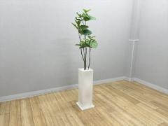 �t�����[�{�b�N�X�E�t�F�C�N�O���[��