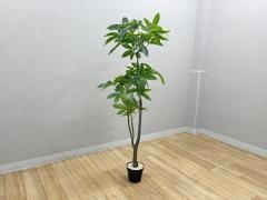 �t�����[�{�b�N�X�E�t�F�C�N�O���[��
