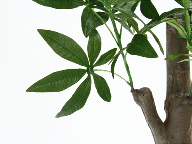 tFCNO[@pL@p̖؁iق̂j^Cv@52665