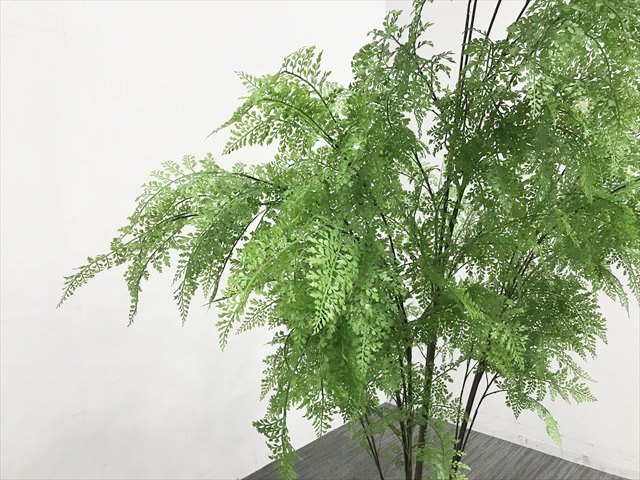 �t�F�C�N�O���[���@�A�W�A���^��