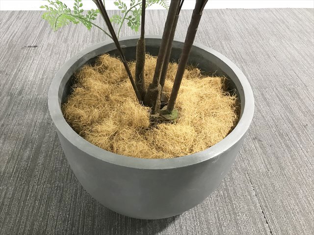 �t�F�C�N�O���[���@�A�W�A���^��