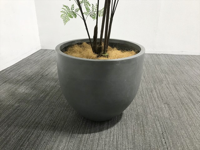 �t�F�C�N�O���[���@�A�W�A���^��