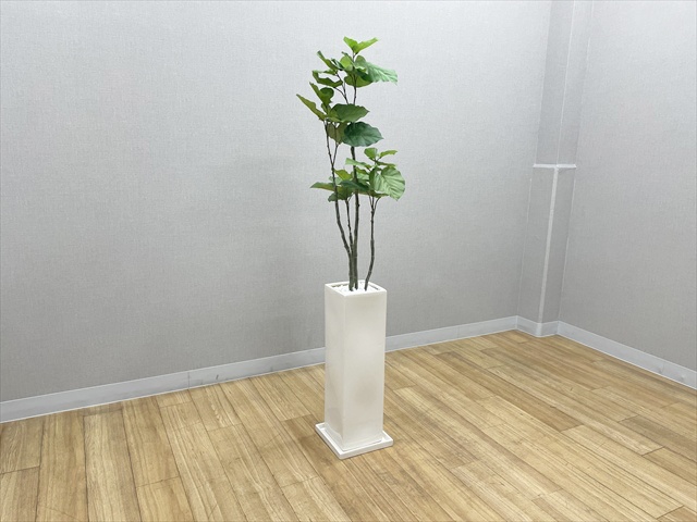 �t�����[�{�b�N�X�E�t�F�C�N�O���[��