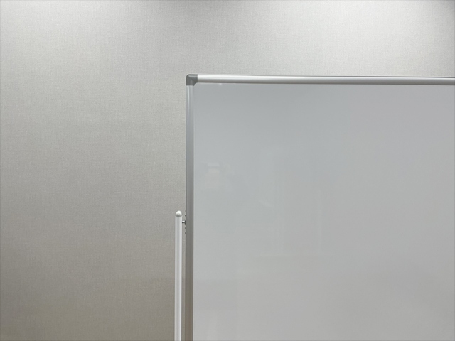 �r�t�z���C�g�{�[�h�@���ʎ��@�G�����T�@LEAR-31