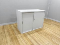 �L���H�� ���Ꮡ�Ɂ@TS�@TS-43DS