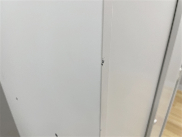 ���Ꮡ�Ɂ@�����O�@���h�H�Ɓ@IC�@IC-0921S