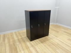 ������ �ЊJ�����Ɂ@IPL�@3��@�_�C�������@�V�t