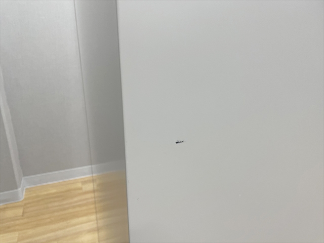 �I�[�v�����Ɂ@�����O�@�V�����C���@HTM-219LLS-WE