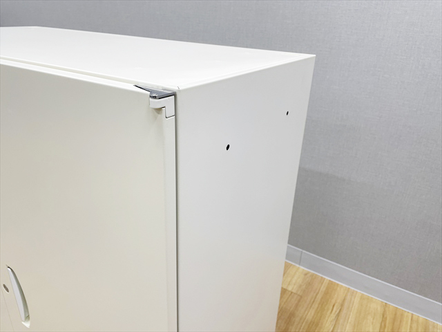 ���J�����Ɂ@�N�E�H�[���@RW45�@RW45-10H