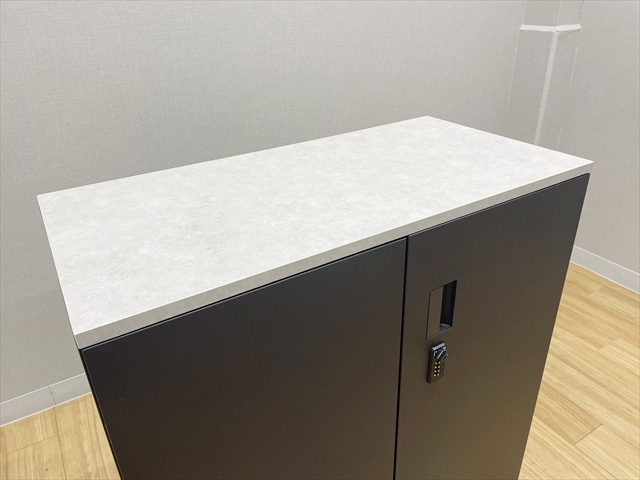 ���J�����Ɂ@�G�X�L���r�l�b�g�@�_�C�������@�V�t�@H1-M1090HSL-T1