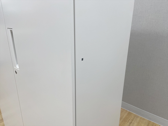 ���J�����Ɂ@�����O�@�G�f�B�A�@BWUH-S89SAWN