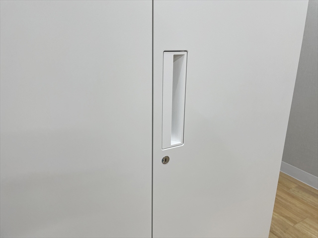 ���J�����Ɂ@�����O�@�G�f�B�A�@BWUH-S89SAWN