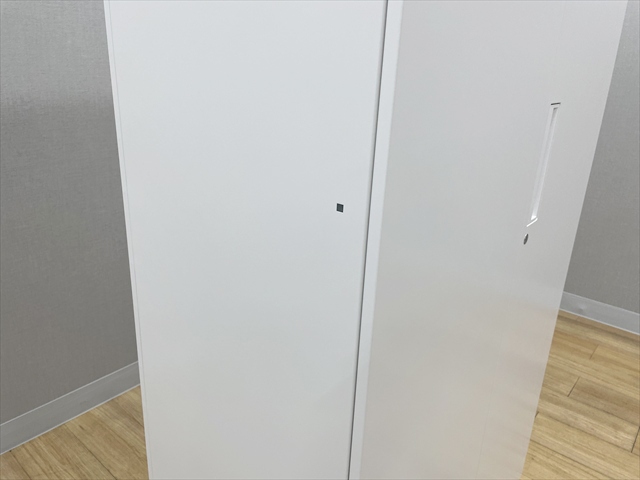 ���J�����Ɂ@�����O�@�G�f�B�A�@BWUH-S89SAWN