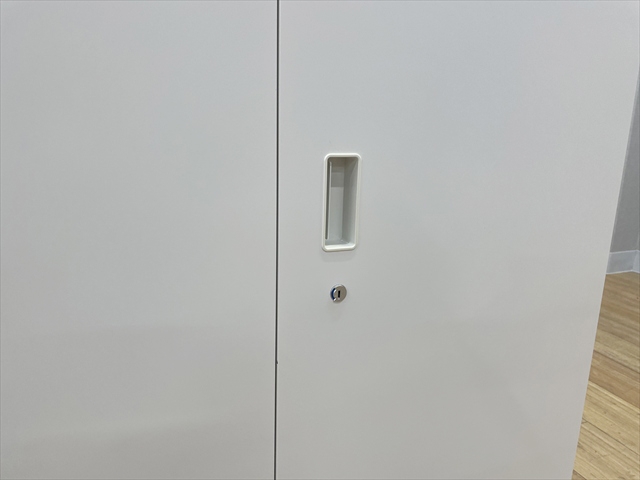 ���J�����Ɂ@�V�����C��500�@HTD-099HS-W9