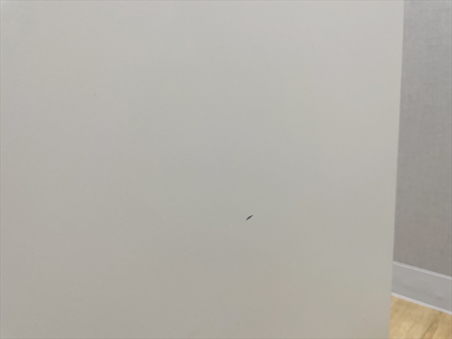 �I�[�v�����J���A���@�V�����C��