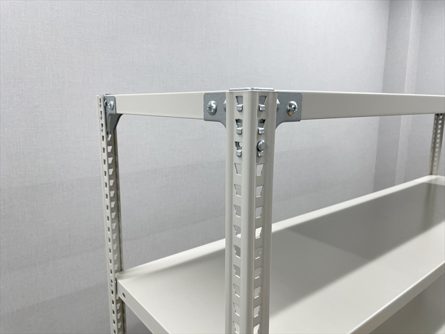 �X�`�[�����b�N�@�y�ʁ@�Z�~�{���g���X�@�V�n6�i�@�g���X�R���R�@SBL�^