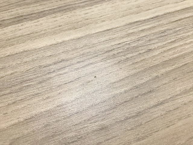 fXN@ʃu[X@AhTCg@o@Ɩt