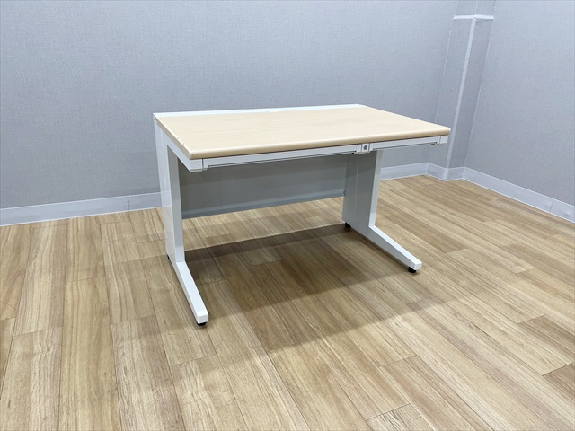 ���f�X�N�@US-1�@���t���o���t�@US-NT117 WM