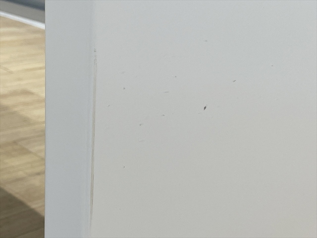 ���f�X�N�@iS�@���o���t�@SDT-IS147PAWN