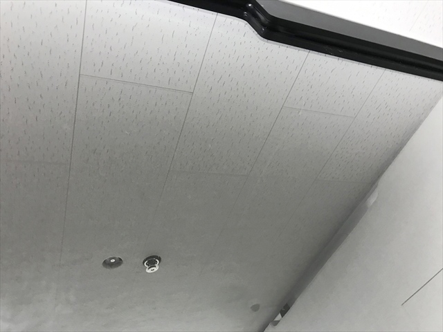 ���u�[�X�@�V�䥏��t�@���[�N�|�b�h�@�~�[�e�B���O���[�N�p�@�L���X�^�[�t