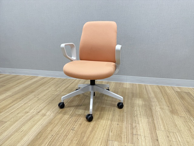 ItBXƋ ݑ[N e[N GA`FA@[obN@CO2-W101C 