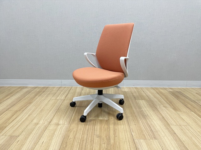 �s�R�� ���r�i�`�F�A�@�n�C�o�b�N�@C10S-2C-E1G90T1