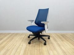 �R�N�� �f���I���`�F�A�@�n�C�o�b�N�@���b�V���^�C�v�@�����r�@�����o�[�T�|�[�g�t�@CRS-G3000E1