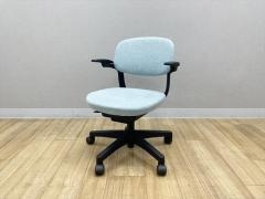 ���C�I�������� �G�r�[�^�`�F�A�@NO.2436WF