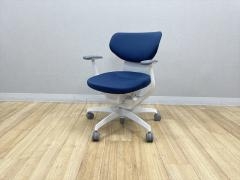 �R�N�� �C���O�`�F�A�@�N�b�V�����E���e�����^�C�v�@CRS-G3200E1