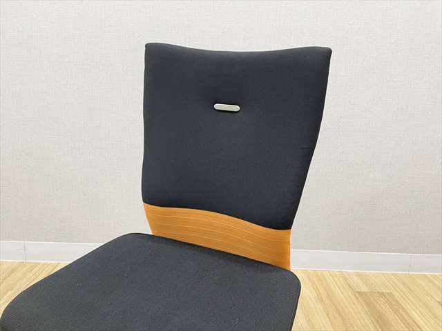 �t�B�[�S�`�F�A�@�n�C�o�b�N�@�V�[�����X�^�C�v�@CJ95BR FAM8