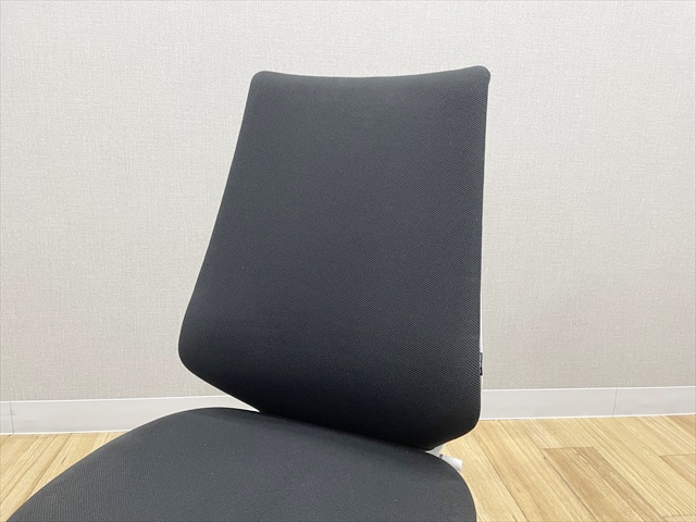 �f���I���`�F�A�@�n�C�o�b�N�@�N�b�V�����^�C�v�@�����r�@CRSG3100E1N