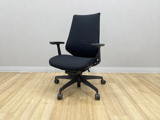 �f���I���`�F�A�@�n�C�o�b�N�@CRS-G3100E6