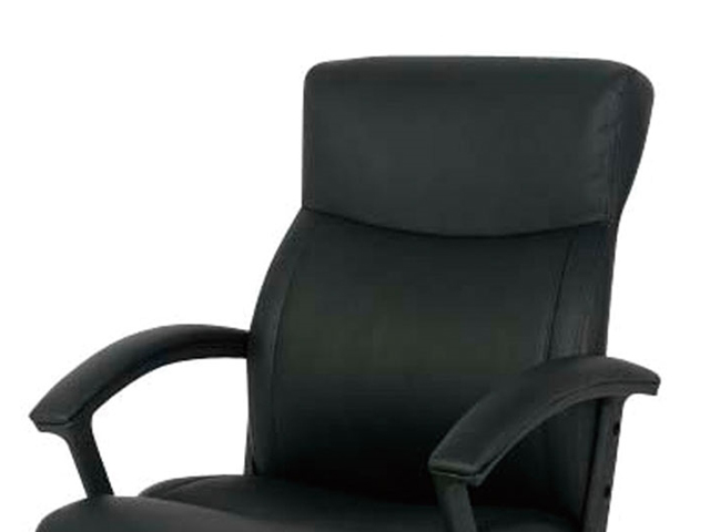 �G�O�[�N�e�B�u�`�F�A�@�i�J�o���V�@OA���U�[�`�F�A���[�o�b�N�@CNL-501BK