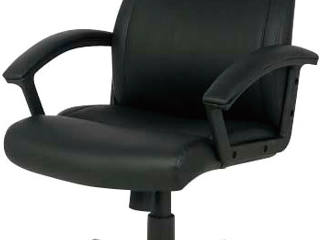 �G�O�[�N�e�B�u�`�F�A�@�i�J�o���V�@OA���U�[�`�F�A���[�o�b�N�@CNL-501BK