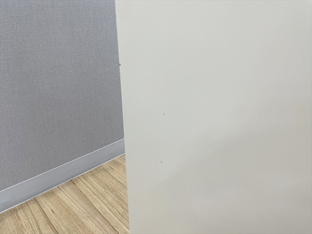 3�l�p���b�J�[�@KZ�^�@4573KZ Z21