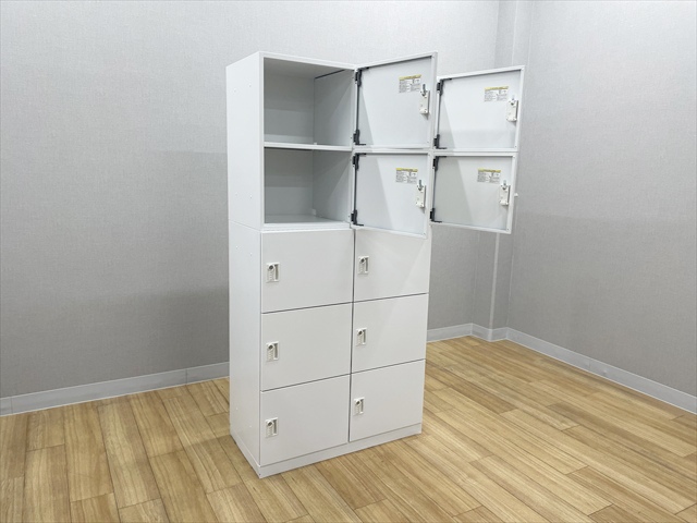 10�l�p�p�[�\�i�����b�J�[�@2��5�i�@�G�����[�W�@�_�C�������@5-856-0262