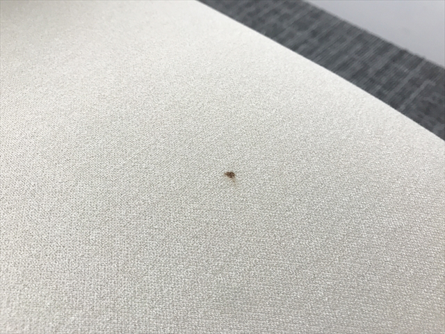 �y��n�ƍՁz�\�t�@�@4�_�Z�b�g�@���C�u�X�@���E���W�\�t�@