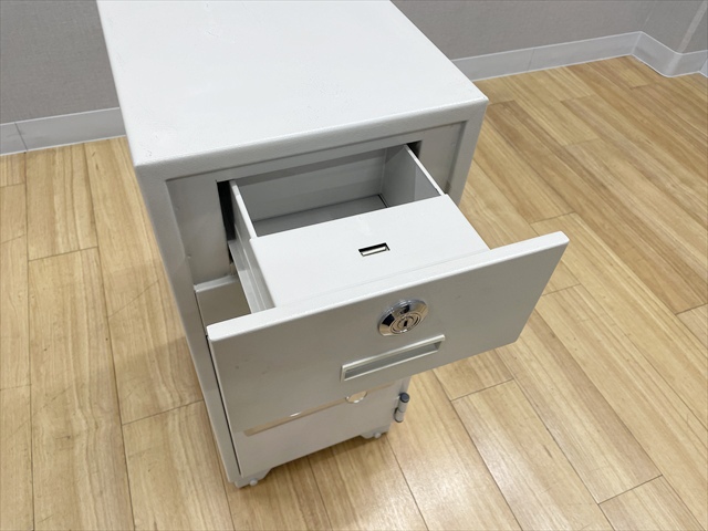 �������ω΋��Ɂ@�_�C�������@PS-20