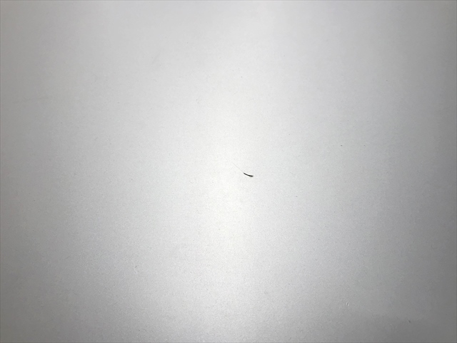 ~[eBOe[u@i@CNXV[@GA[t[@3004 VD