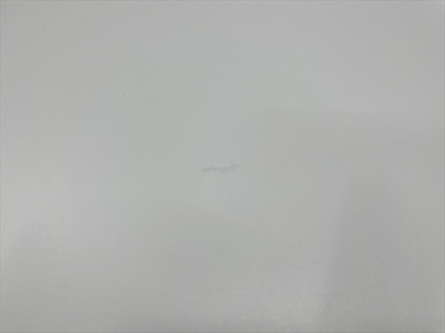 ~[eBOe[u@i@C^[ANgMT@LX^[t@81D41B