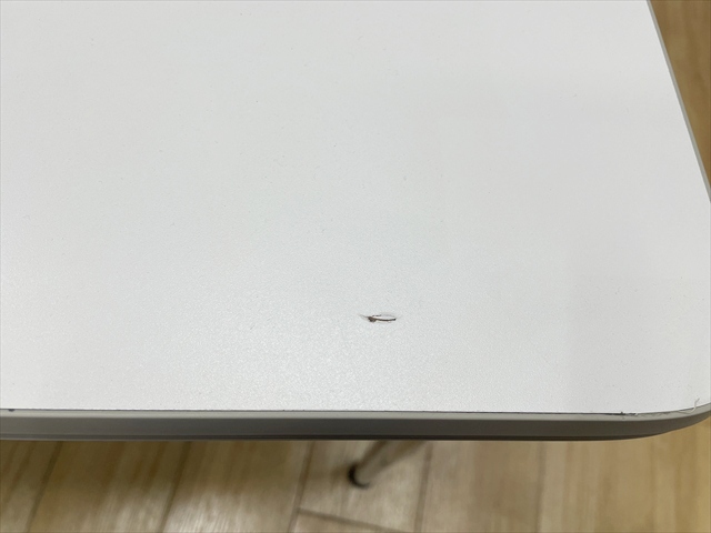 �~�[�e�B���O�e�[�u���@�����i